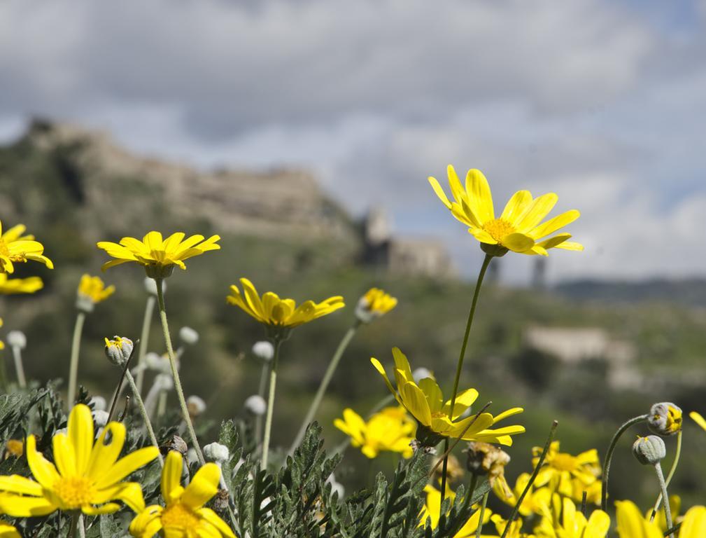 Casa Vacanza Cicirello Giardini Naxos Rom bilde